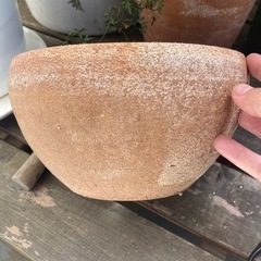 コロンとした植木鉢
