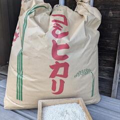 令和5年産コシヒカリ白米17kg