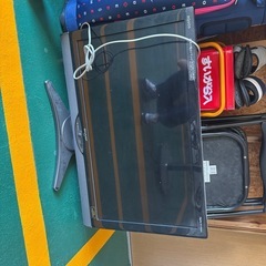 テレビ