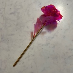 オーロラローズの画像