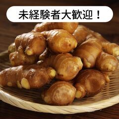 高知県高岡郡四万十町で生姜の収穫作業等のお仕事！【単発/短期求人】