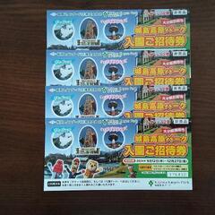 城島高原パーク入園ご招待券    ４名様分