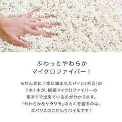 ラグ　ラグマット　200×250㎝　　の画像
