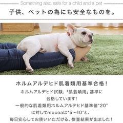 ラグ　ラグマット　200×250㎝　　の画像