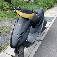 取り置き無し‼️HONDA LiveDIO中期　レストアベース車両‼️の画像