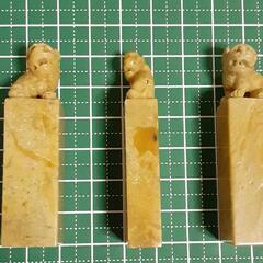 頭部獅子型印鑑　( 印材 黄土色 未彫)　3本セットの画像