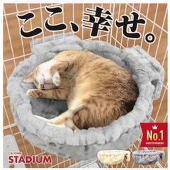 キャットゲージ　差し上げます
の画像
