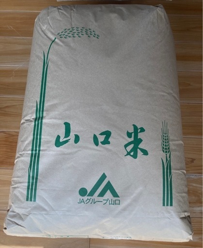 令和6年産　新米　きぬむすめ　30kg【5袋限定出品】【受付終了】