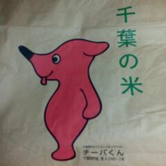 売り切れ　完売減農薬6年産新米120kg 30kgx4袋