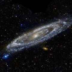 占星術モニター募集