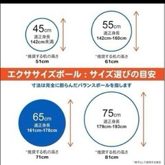 バランスボール ストレッチヨガ 65cm エクササイズ 宅トレ デスクワークの画像