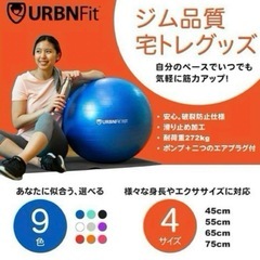 バランスボール ストレッチヨガ 65cm エクササイズ 宅トレ デスクワークの画像