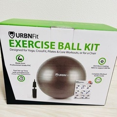 バランスボール ストレッチヨガ 65cm エクササイズ 宅トレ ...