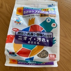 　決まりました　亀のエサ