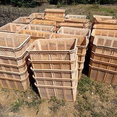 【終了】無料　農業　コンテナ　屋外収納