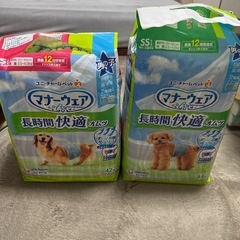 犬用オムツ⭐︎マナーウェアの画像