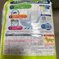 犬用オムツ⭐︎マナーウェアの画像