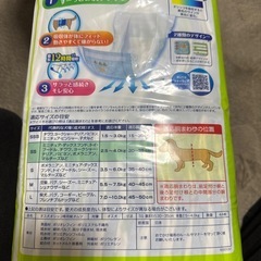 犬用オムツ⭐︎マナーウェアの画像
