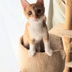 ヤンチャで元気です