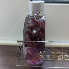 【ハンドメイド】ハーバリウムの画像