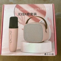 Wireless karaoke speakers 