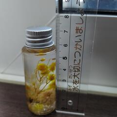 【ハンドメイド】ハーバリウムの画像