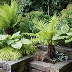 【中古枕木販売】木材、DIY、庭、植物、ロックガーデン、アンティーク、レトロ好きな方の画像