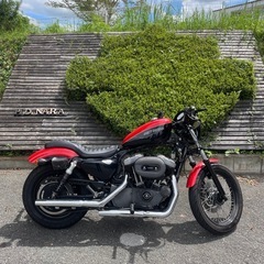 XL1200N  ナイトスター ハーレーダビッドソン