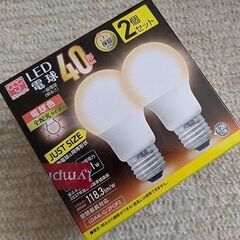 オリンピック　LED電球2個の画像