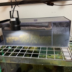 90センチ　水槽セットの画像