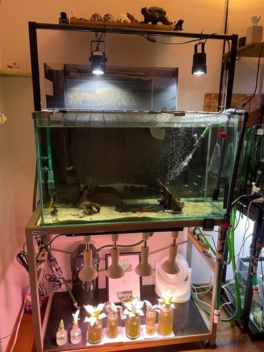 90センチ　水槽セット