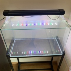 ガラス水槽 アクロ60セット
