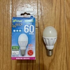 【9/29~10/3〆】 LED電球