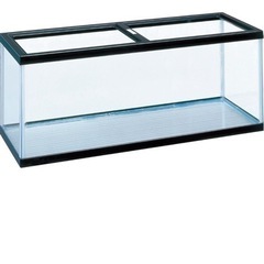 120センチ以上の水槽