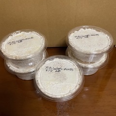 【外国産オオクワガタ　幼虫5頭】