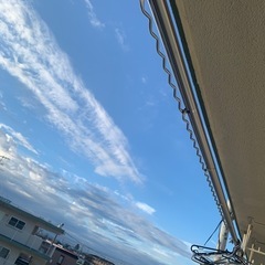 物干し竿