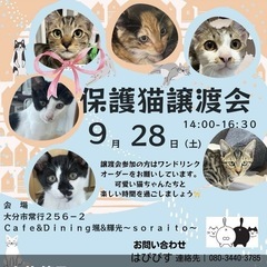 🌸🌼譲渡会があります🌼🌸