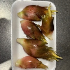 無農薬みょうがと物々交換