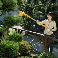 ポールヘッジトリマー 
hekyocera RYOBI- pht-2100の画像