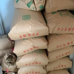 新米コシヒカリ　30キロ