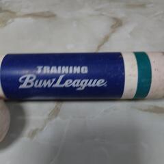 素振りバット＆硬式ボールの画像