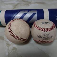 素振りバット＆硬式ボールの画像