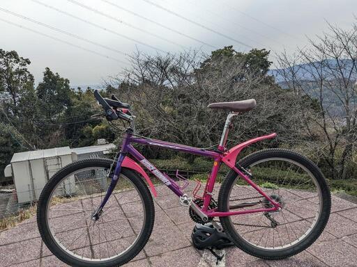 MIYATA　リッジランナー　オールドMTB カスタム多数　レア車　急ぎ 宮田 ミヤタ RIDGE RUNNER リッジランナー カスタム | bad-frog