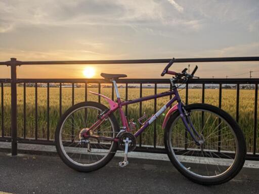 MIYATA リッジランナー オールドMTB カスタム多数 レア車 急ぎ