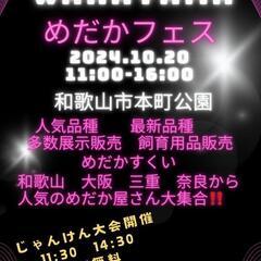 メダカフェス開催決定😊‼️
