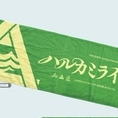 ハルカミライロゴ　フェイスタオルの画像