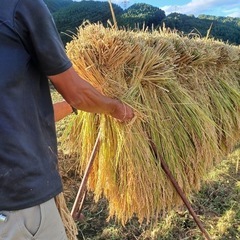 新米(農薬不使用・はざ掛け)10kg
