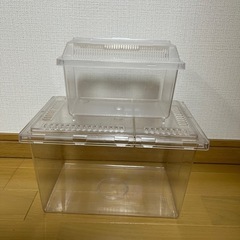 【無料】虫カゴ　２個セット