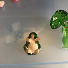 カエル　カッパ　置き物　民芸品　郷土玩具　工芸品　陶器　瀬戸物　飾り物　コレクション　趣味の画像