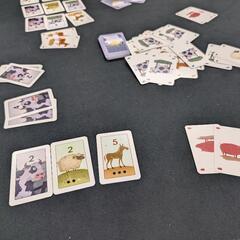 【苫小牧】9/29（日）ボードゲームオープン会inのぞみ町コミセン